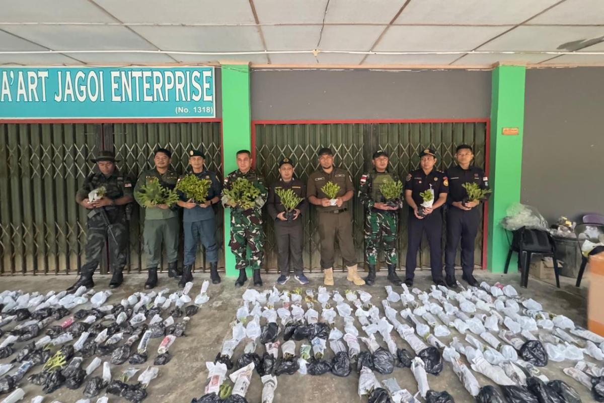 Tim gabungan saat mengamankan barang bukti ratusan tanaman tanduk rusa yang rencananya akan diselundupkan ke Sarawak, Malaysia, di jalur lintas batas, Jagoi Babang-Serikin, Kabupaten Bengkayang.
