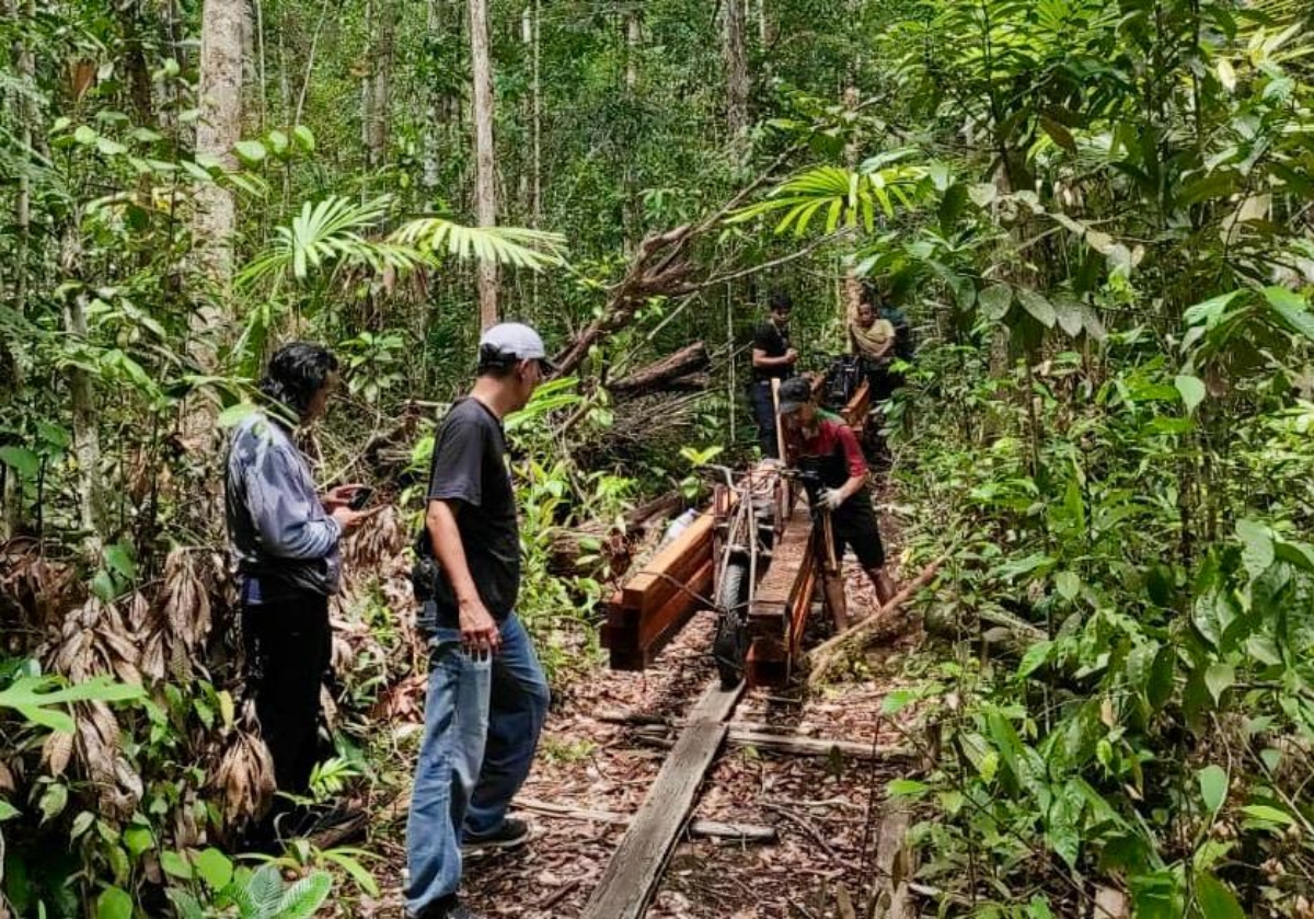 Tim gabungan operasi perbatasan Indonesia-Malaysi mengamankan pelaku pembalak liar di kawasan Taman Wisata Alam Dungan, Desa Sungai Bening, Kecamatan Sajingan Besar Kabupaten Sambas.