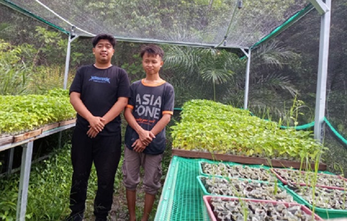 Media tanam untuk pembibitan cabai yang dikembangkan di Bengkel Agribisnis Poltesa sebagai sarana edukasi dan membangkitkan jiwa entrepreneurship mahasiswa.