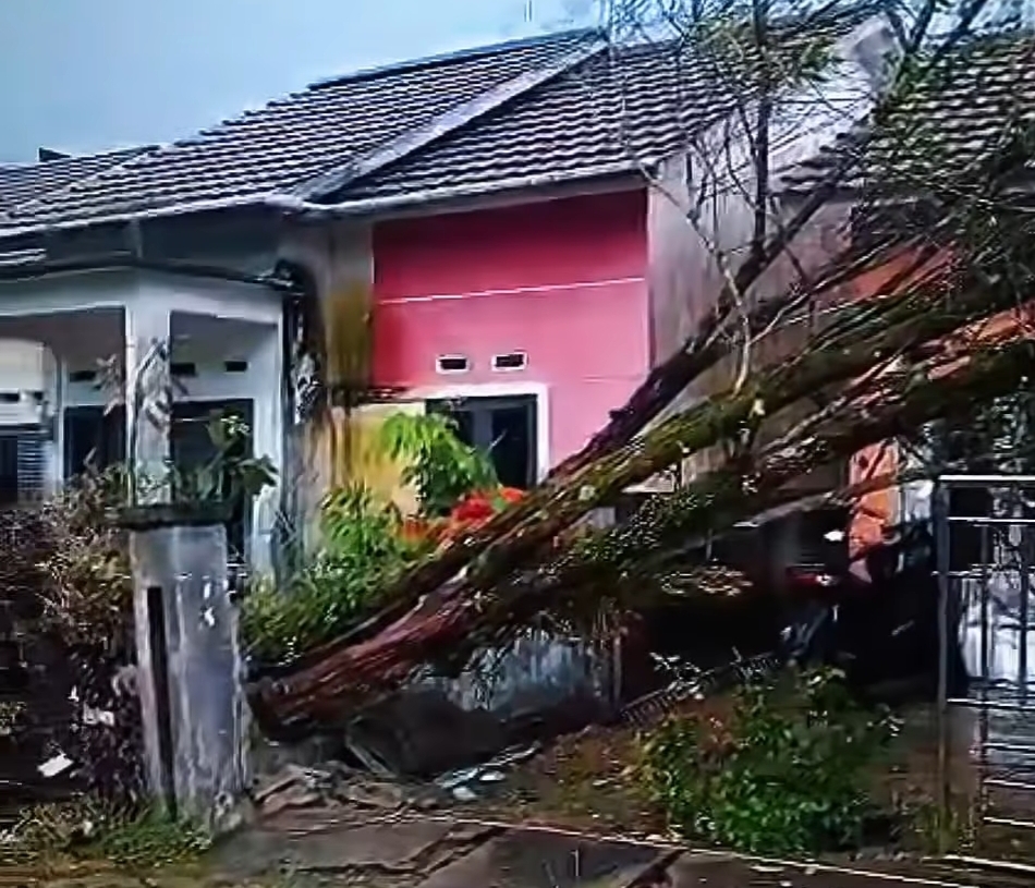 Kondisi rumah warga di Sungai Raya Dalam yang hancur tertimpa pohon besar usai cuaca ekstrem melanda kawasan itu.