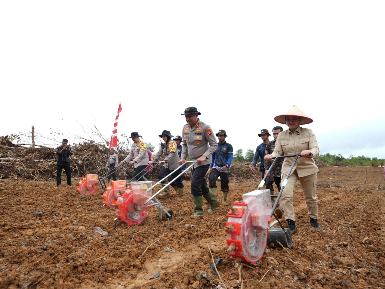 TANAM : Bupati Landak Karolin Margret Natasa saat mendampingi Kapolda Kalbar Irjen Pol Pipit Rismanto, menanam jagung di Kecamatan Jelimpo, Landak.