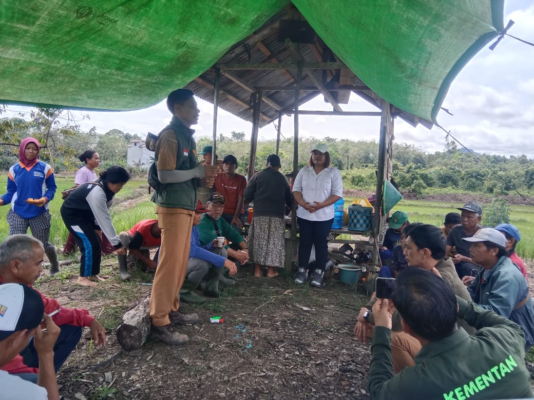 Koordinator Pengelola BPP Kecamatan Nanga Pinoh, Fajar Yuniatmoko, memantau progres pertanian kelompok tani di Desa Poring, Kecamatan Nanga Pinoh.
