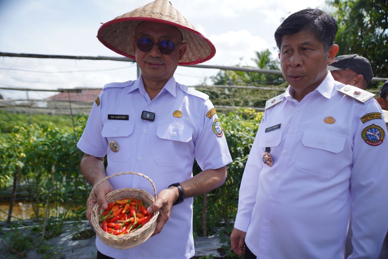 PANEN CABAI: Wali Kota Pontianak, Edi Rusdi Kamtono, didampingi Plt Kepala Dinas Pangan, Pertanian, dan Perikanan Kota Pontianak, Muchammad Yamin, menunjukkan hasil panen cabai.