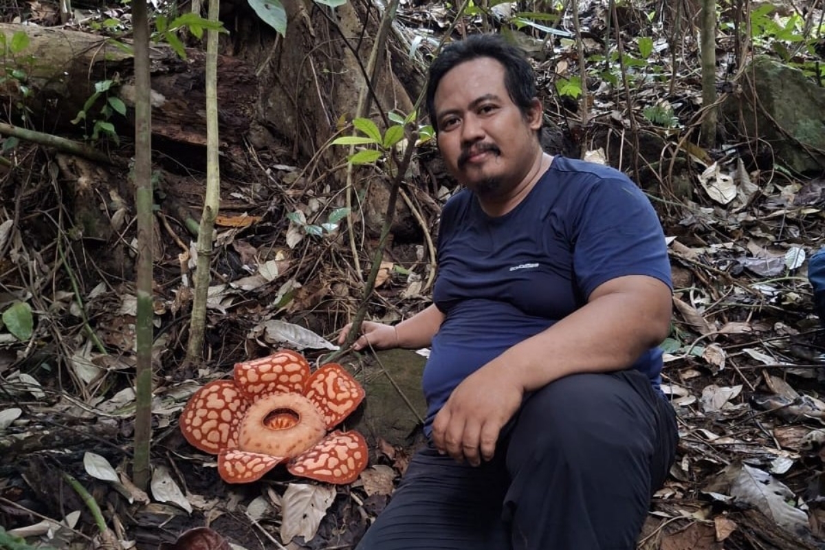 Agri Aditya saat menemukan Rafflesia hasseltii di Kabupaten Sambas Kalimantan Barat.