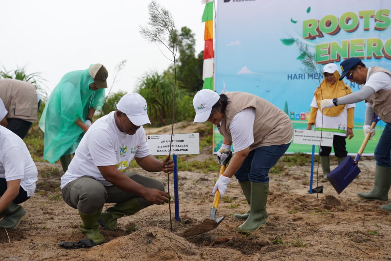 General Manager PLN UID Kalimantan Barat, Maria Goretti Indrawati Gunawan, menanam pohon cemara laut di pesisir Pantai Kura-Kura, Sungai Raya, Bengkayang dalam rangka Hari Menanam Pohon Indonesia.