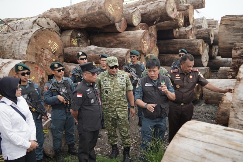 HASIL OPERASI: Dirjen Gakkum Kemenhut Dwi Januanto Nugroho (kedua kanan) memeriksa barang bukti kasus pembalakan liar di Hutan Sipora, Mentawai, Sumatera Barat yang diangkut ke Gresik, Jawa Timur,