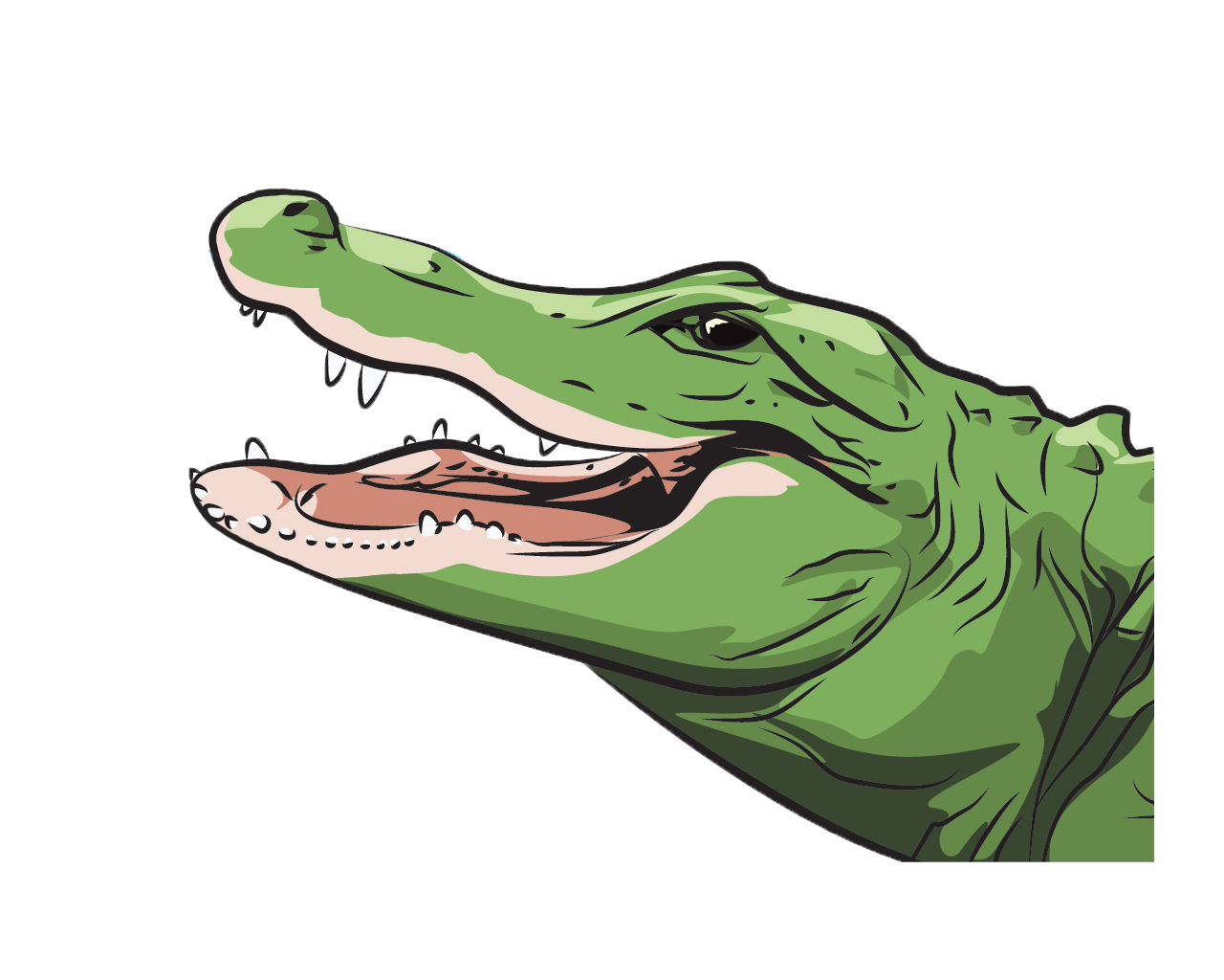 Ilustrasi buaya.
