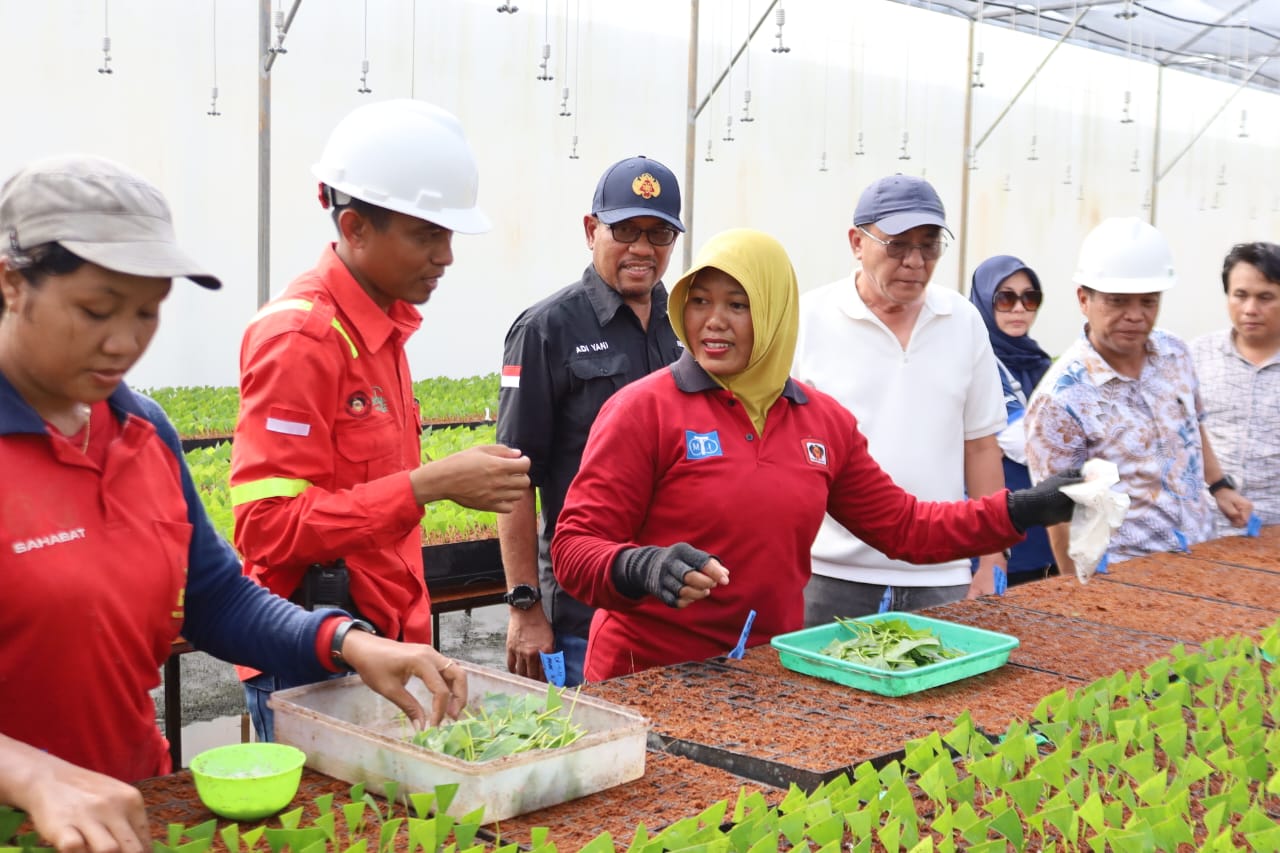 Kadis LHK Kalbar Adi Yani meninjau lokasi pembibitan PT Mayawana Persada di Ketapang, didampingi pekerja perempuan yang mendominasi proses produksi bibit.