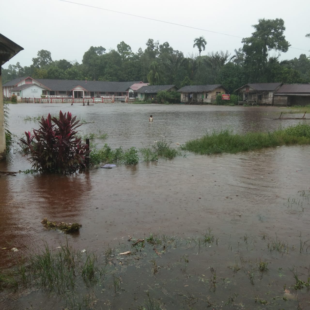 Banjir yang melanda di daerah perbatasan, yakni di Sungai Bening Kecamatan Sajingan Besar. Sejumlah Daerah Di Sambas, Terdampak.