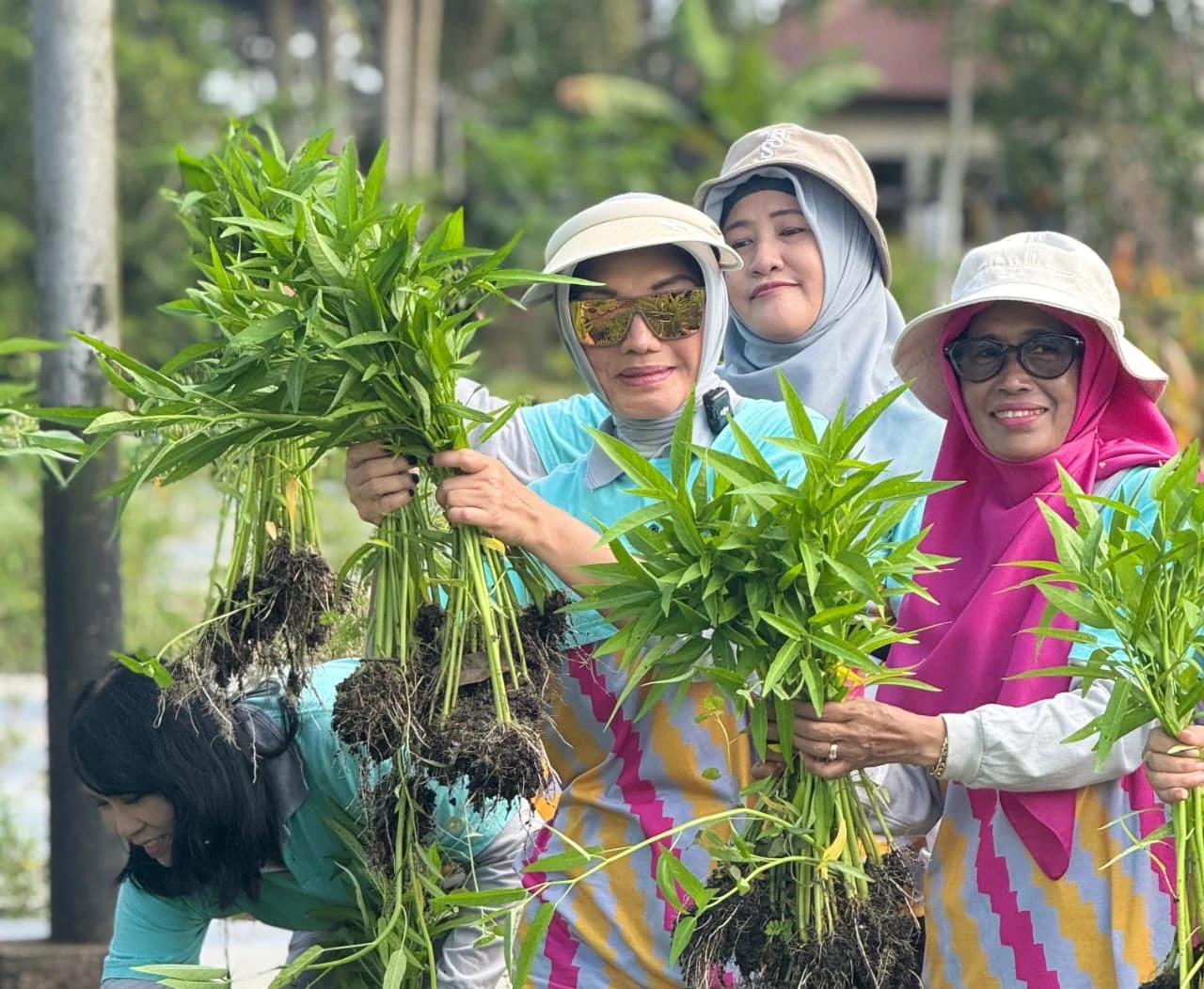 PEKARANGAN: Pemanfaatan pekarangan untuk kebun bisa menjadi solusi bagi pangan keluarga.