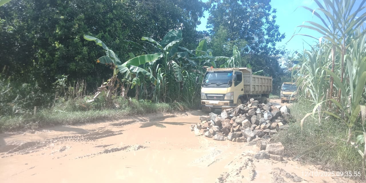 PERBAIKAN: Kondisi Jalan Sukamaju&ndash;Banyu Abang di Kabupaten Kayong Utara saat dilakukan perbaikan oleh Dinas PUPR Kabupaten Kayong Utara.