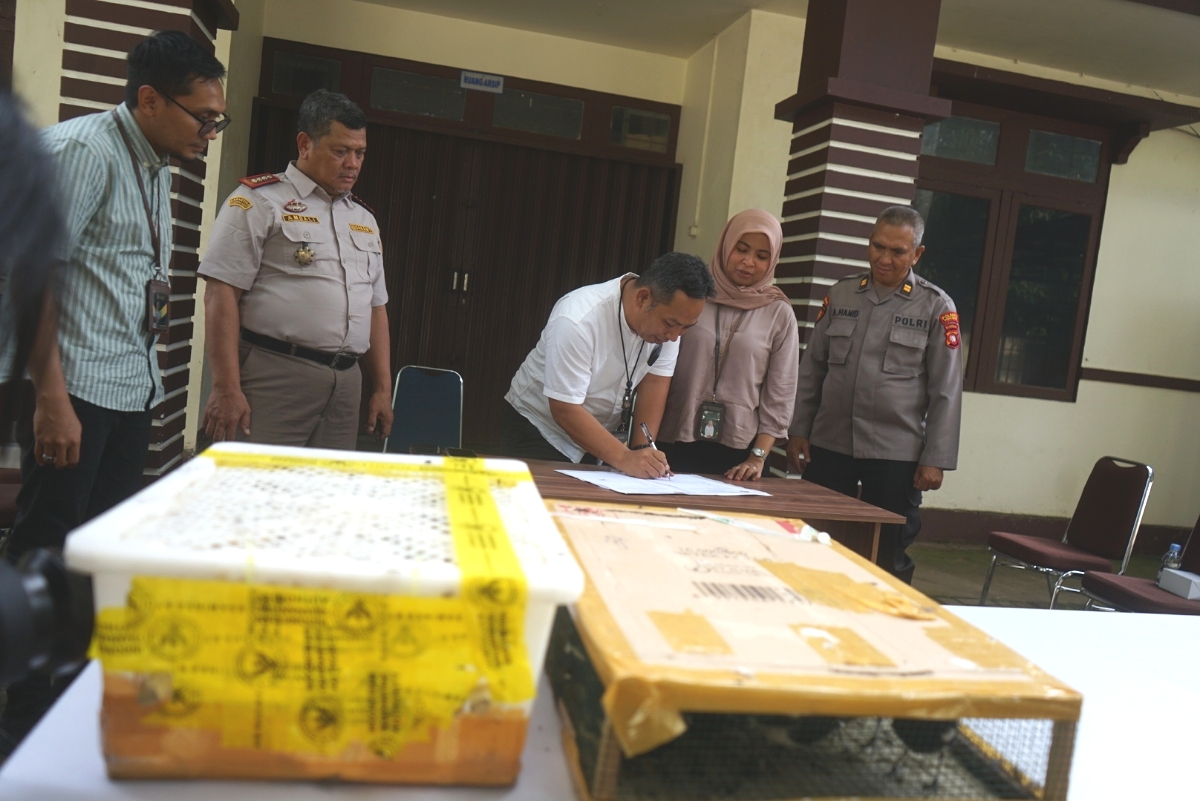 Balai Karantina Kalimantan Barat gagalkan penyelundupan 700 ekor burung Kacer dan 5 ekor burung Betet saat melakukan pengawasan di wilayah kerja Pelabuhan Dwikora.