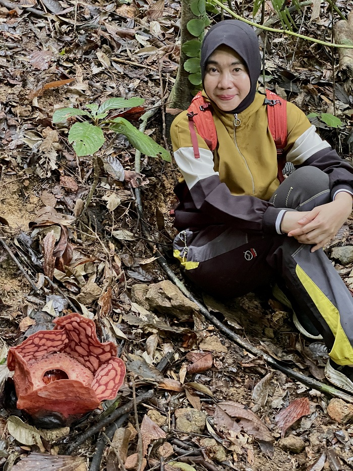 BUNGA: Rita Hastarita saat mengunjungi bunga Rafflesia Hasseltii di Gunung Tanjung Datok, Sambas.