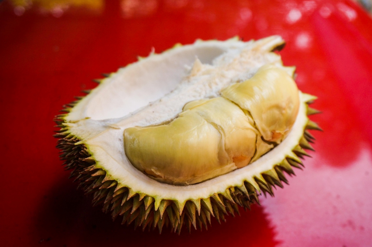 Ilustrasi buah durian yang dimakan dengan tidak berlebihan.