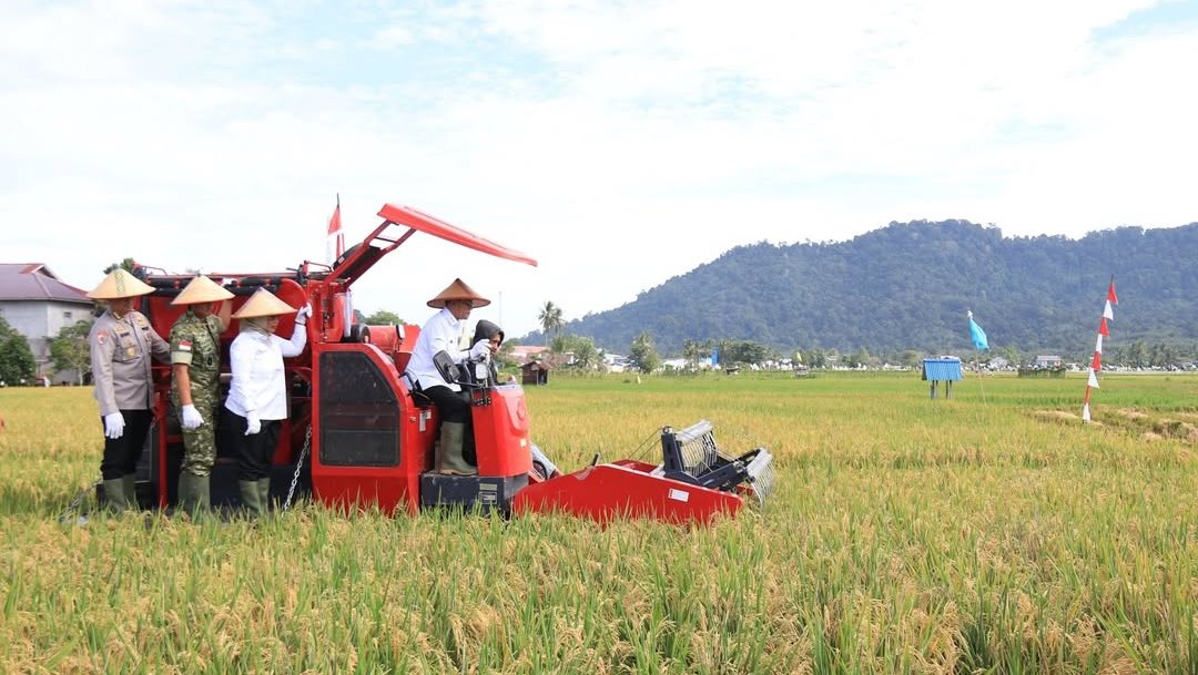 Wagub Kalbar hadiri panen padi serentak di Anjongan, Mempawah, optimistis swasembada pangan berkelanjutan terjaga.