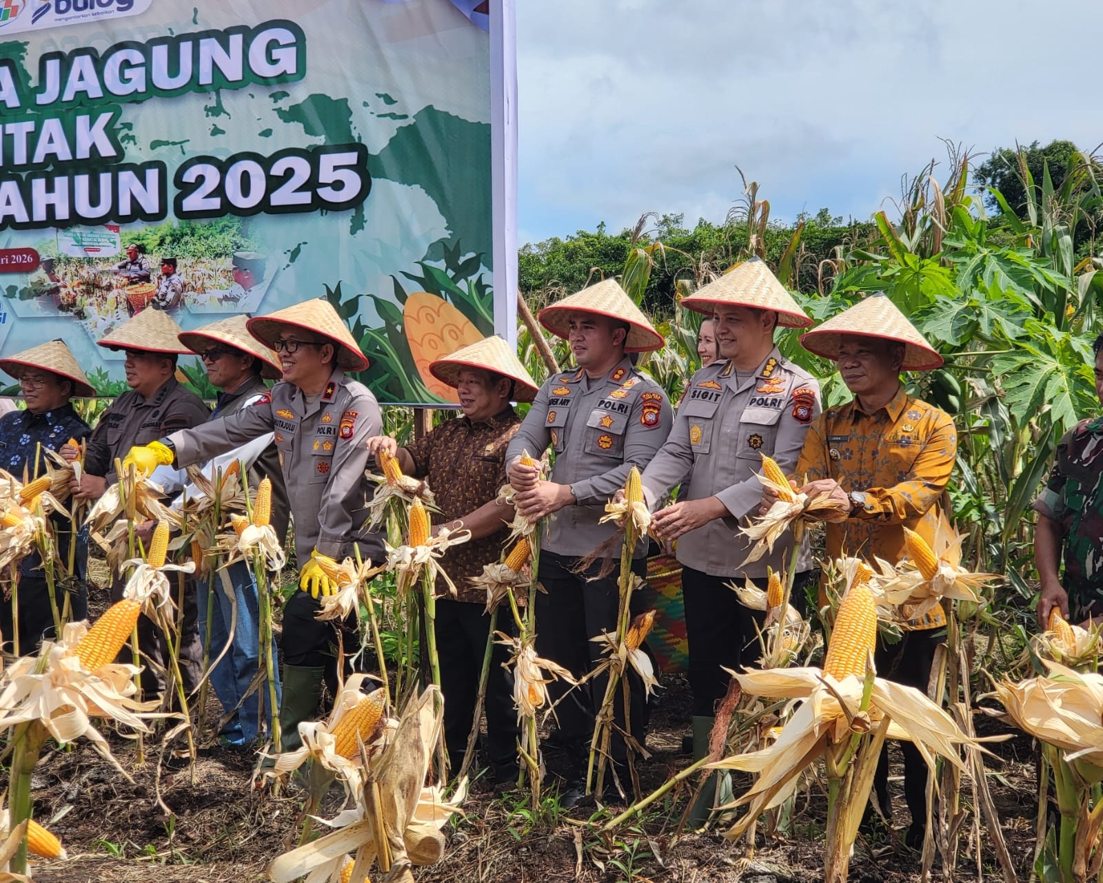 *Panen Raya Jagung di Sungai Ambawang  Optimalkan Lahan Tidur untuk Ketahanan Pangan  SUNGAI AMBAWANG &ndash; Panen raya jagung di Desa Jawa Tengah, Kecamatan Sungai Ambawang, Kabupaten Kubu Raya, Kamis