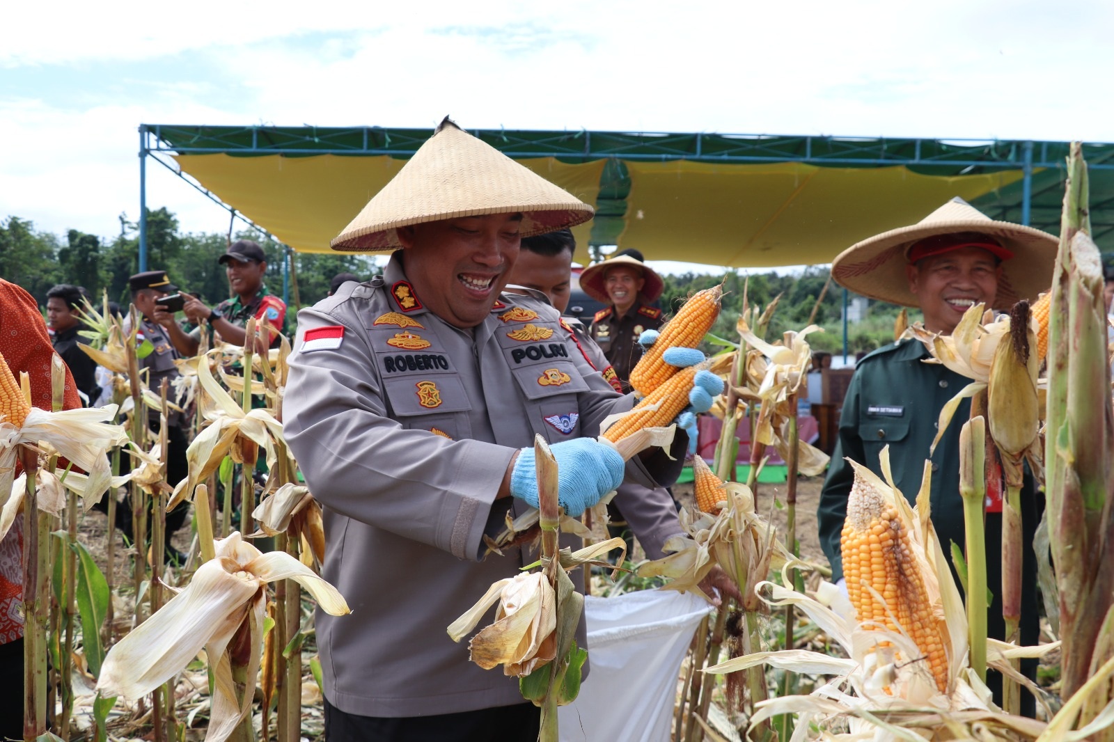 JAGUNG : Panen raya jagung di Kecamatan Embaloh Hulu dilakukan Kapolres Kapuas Hulu, AKBP Roberto Aprianto Uda.