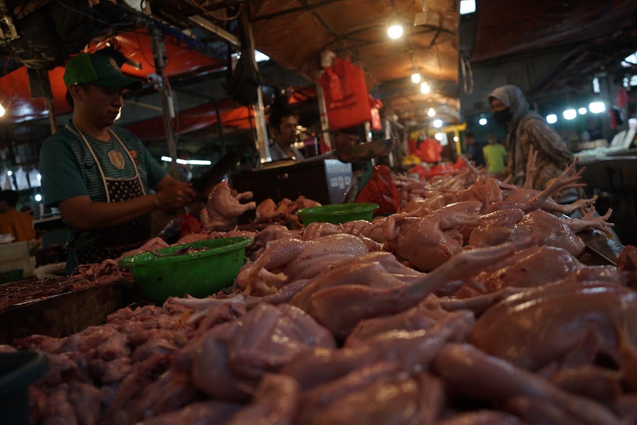 DAGING AYAM: Pedagang ayam potong sedang beraktifitas pada lapaknya di Pasar Flamboyan. Pasar tradisional seperti Pasar Flamboyan yang menjual berbagai kebutuhan masyarakat.