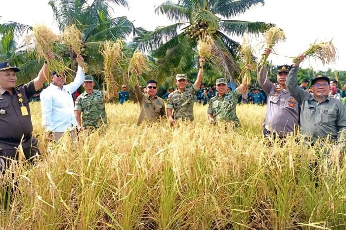 PERTANIAN: Sektor pertanian di Kabupaten Sambas harus terus dikembangkan. Peran serta seluruh pihak untuk memberikan perhatian sangat diperlukan.