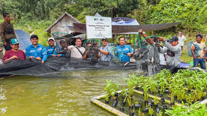 PANEN PERDANA: Kelompok Budidaya Ikan Air Tawar Desa Pelapis, perwakilan manajemen PT Dharma Inti Bersama, Camat Kepulauan Karimata, dan Plt Kadis Kelautan dan Perikanan Kayong Utara