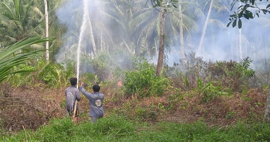 KARHUTLA: petugas Damkar saat memadamkan kebakaran lahan di Desa Peniti Luar.