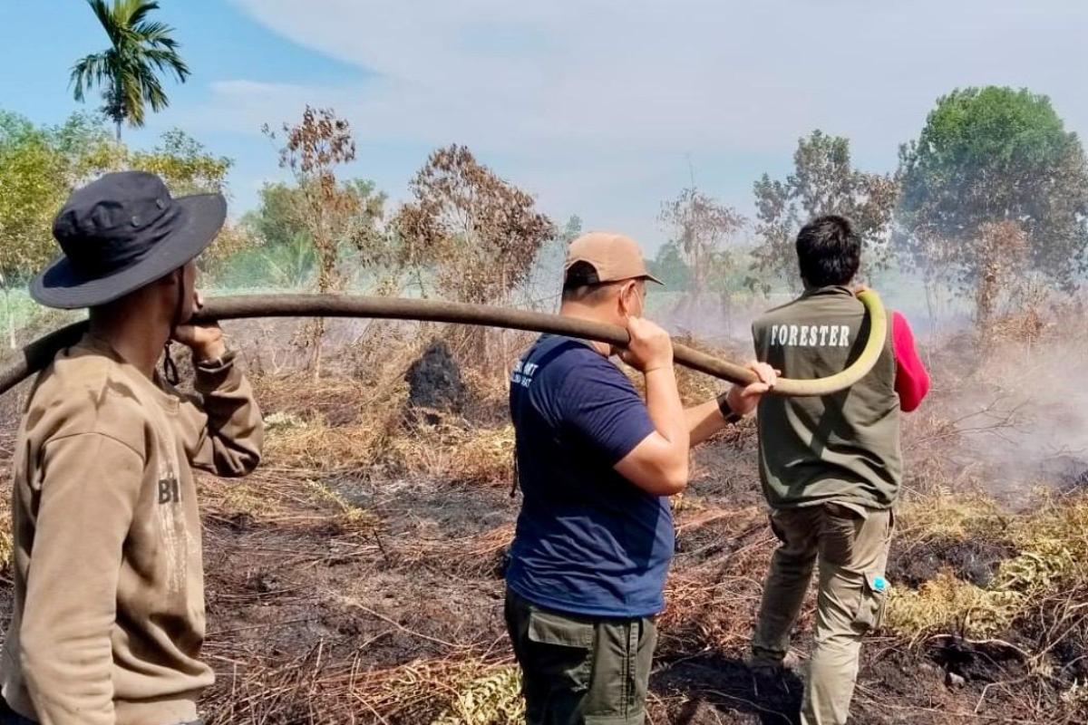 Petugas pengendalian karhutla, DLHK Kalbar melakukan upaya pemadaman api yang membakar lahan di Kabupaten Kubu Raya dan Mempawah.