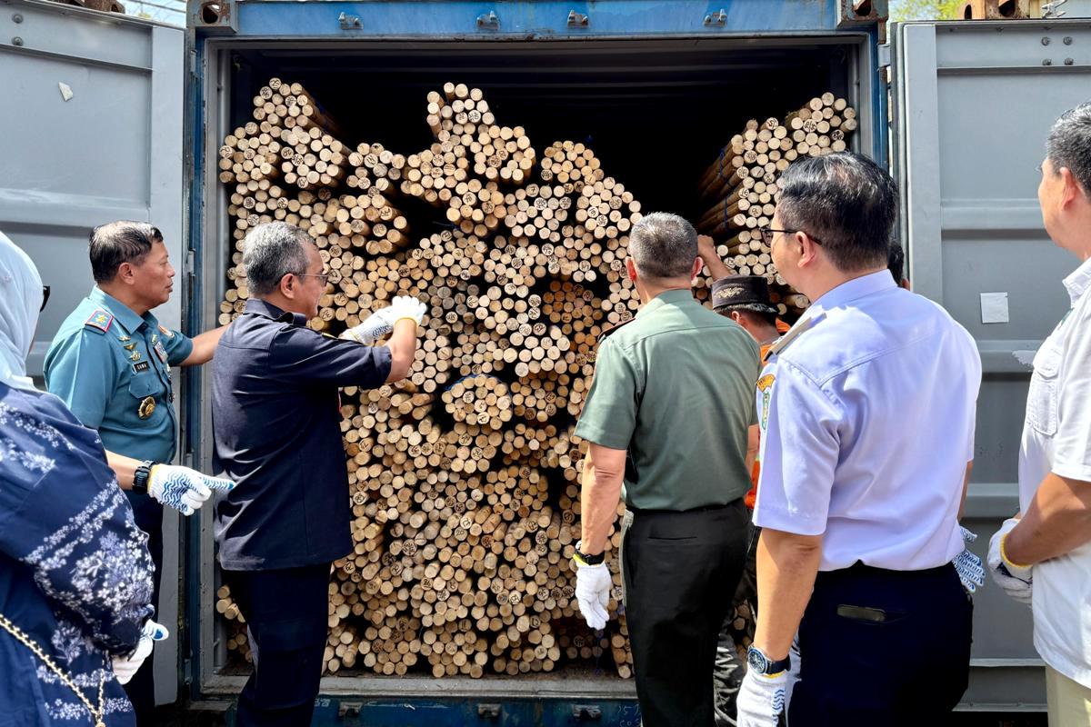 Bea Cukai Kalbar Gagalkan Ekspor 58,3 Ton Rotan dari Kalteng dan Kalsel. Rotan empat kontainer ini digagalkan di Pelabuhan Dwikora Pontianak yang rencananya akan dikirim ke Tiongkok.