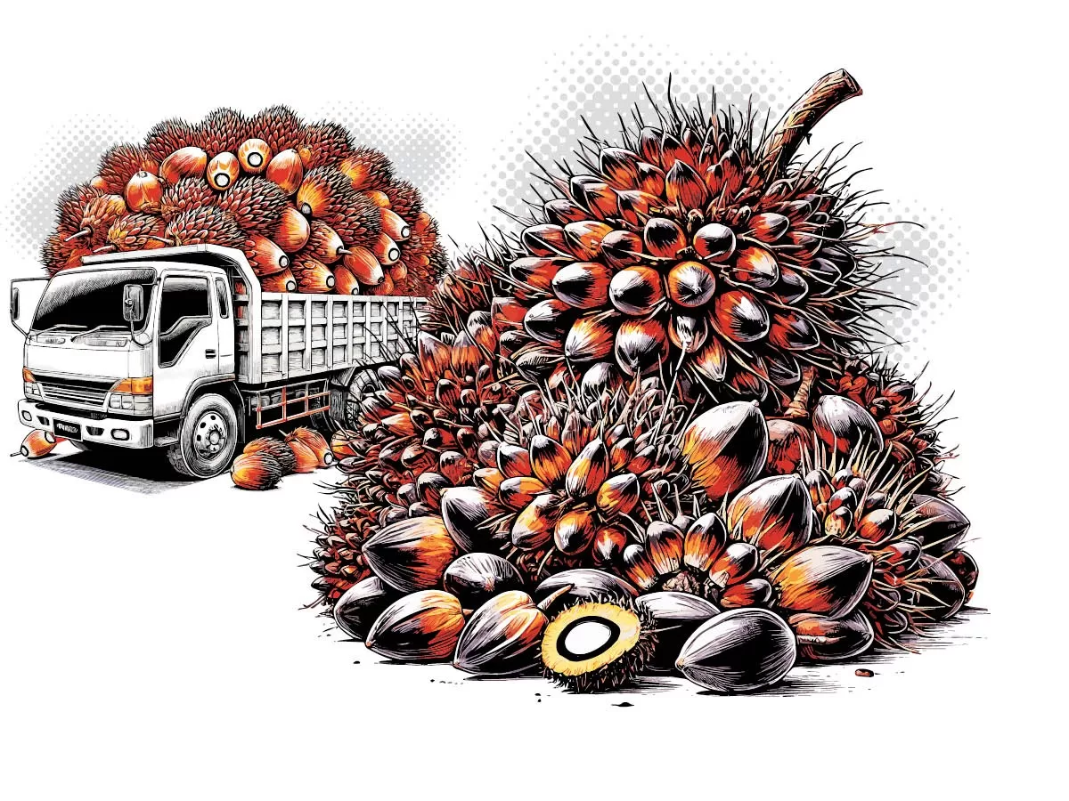 Ilustrasi Truk Sawit