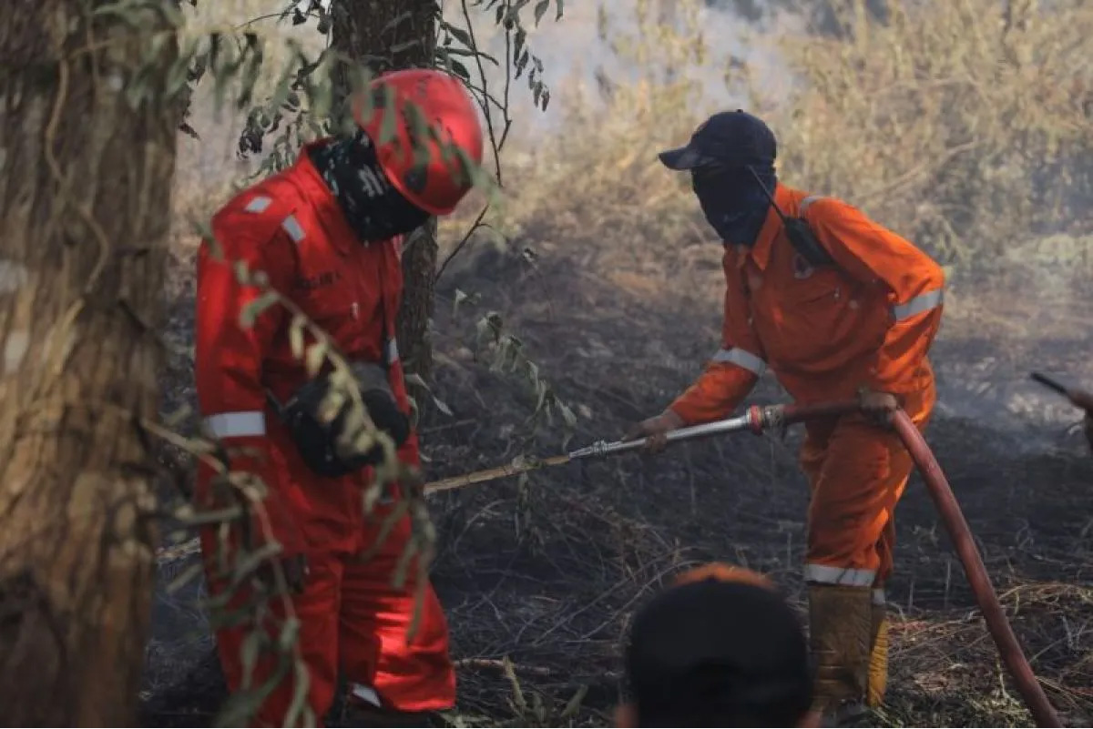 PADAMKAN API: BPBD Pontianak melakukan pemadaman terhadap karhutla. Mereka menduga, sejumlah kejadian kebakaran lahan yang terjadi dalam sepekan terakhir bukan disebabkan faktor alam, melainkan akibat