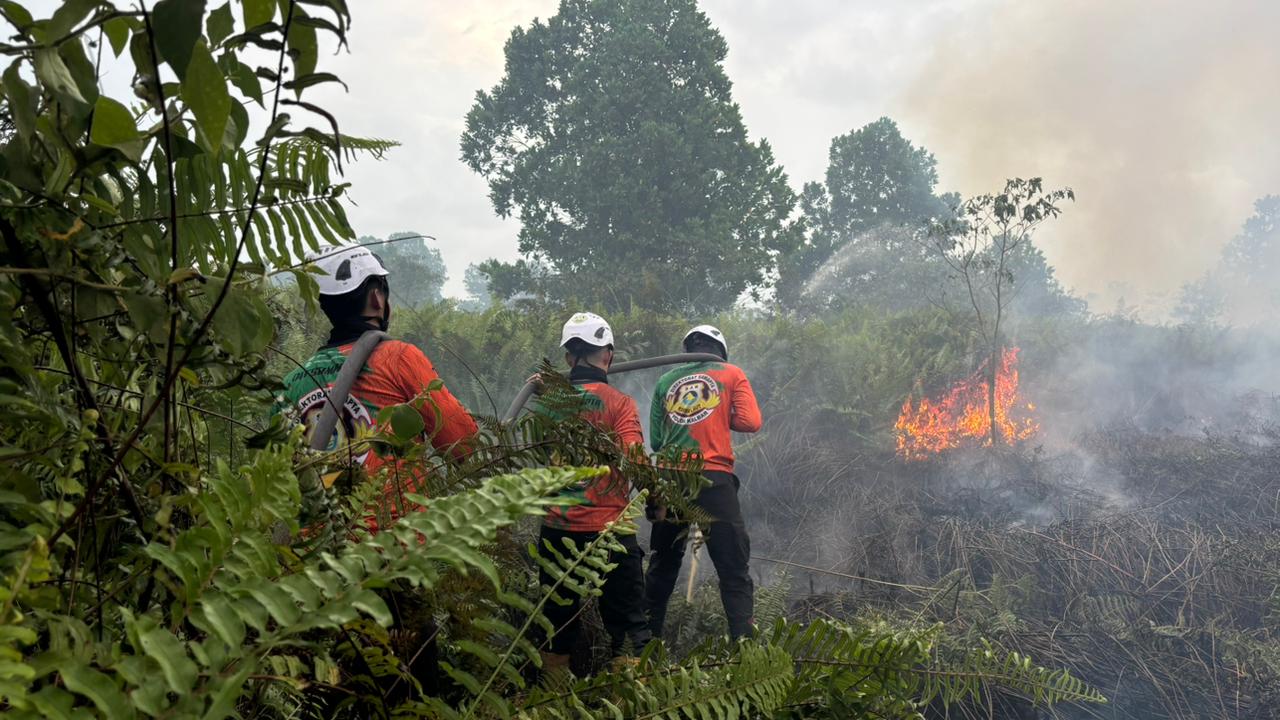 KARHUTLA : Personel Tim SAR Direktorat Samapta Polda Kalbar melakukan pemadaman dan pendinginan lahan pada titik karhutla di kawasan Parit Toom, Kecamatan Rasau Jaya, Kabupaten Kubu Raya, Selasa (3/2)