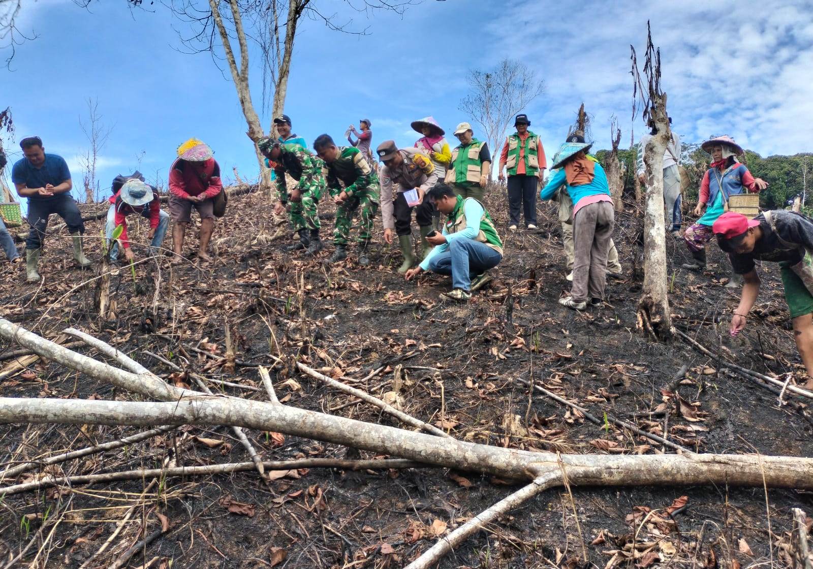 Gotong royong masyarakat bersama TNI/Polri tanam pohon di lahan bekas kebakaran, dukung upaya penghijauan dan pemulihan lingkungan.