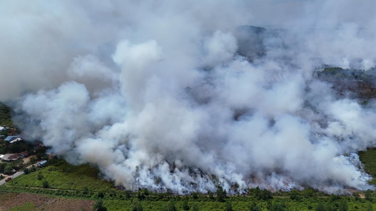 Tangkapan udara kebakaran lahan di Desa Galang Kecamatan Sungai Pinyuh Kabupaten Mempawah pada Senin (9/2).