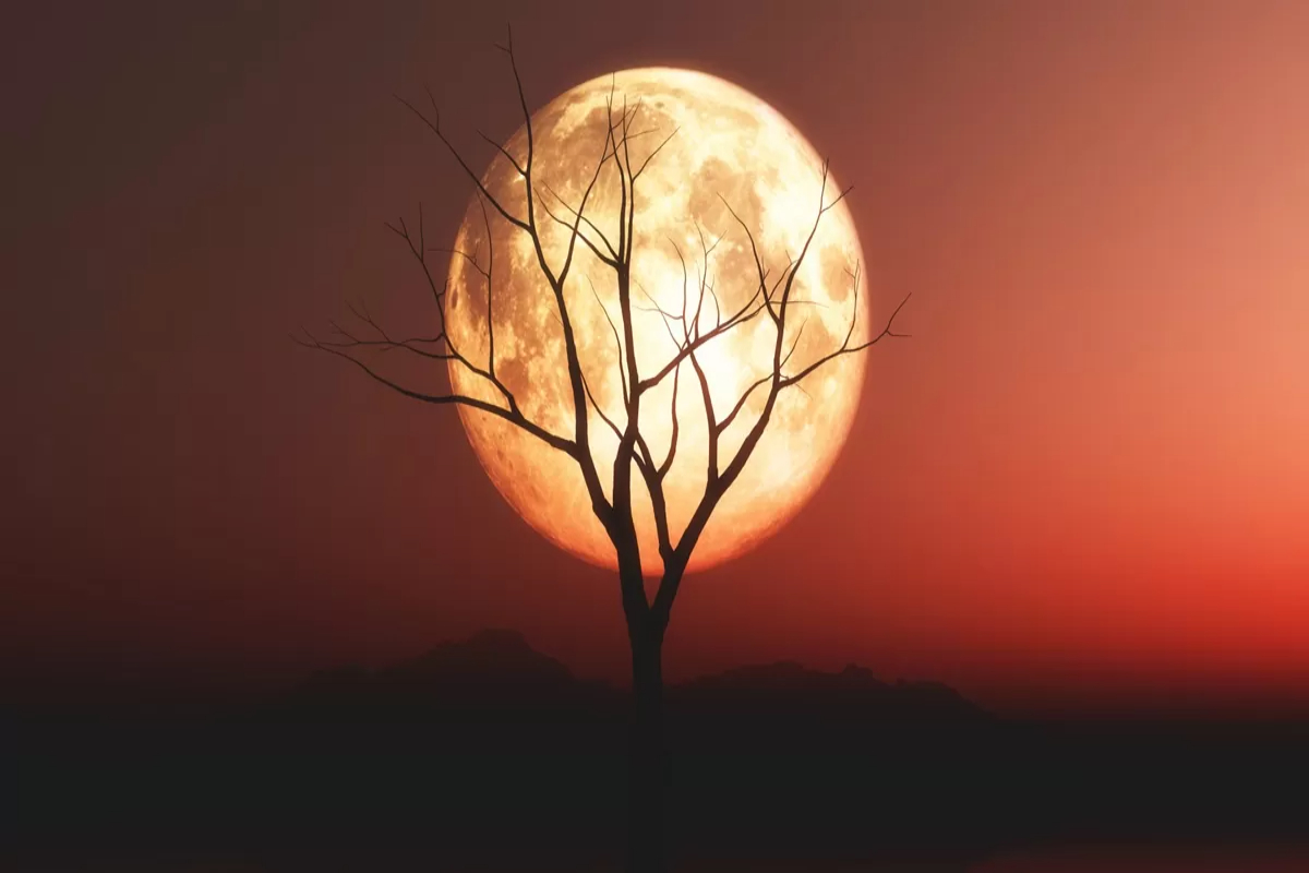 Ilustrasi gerhana bulan.