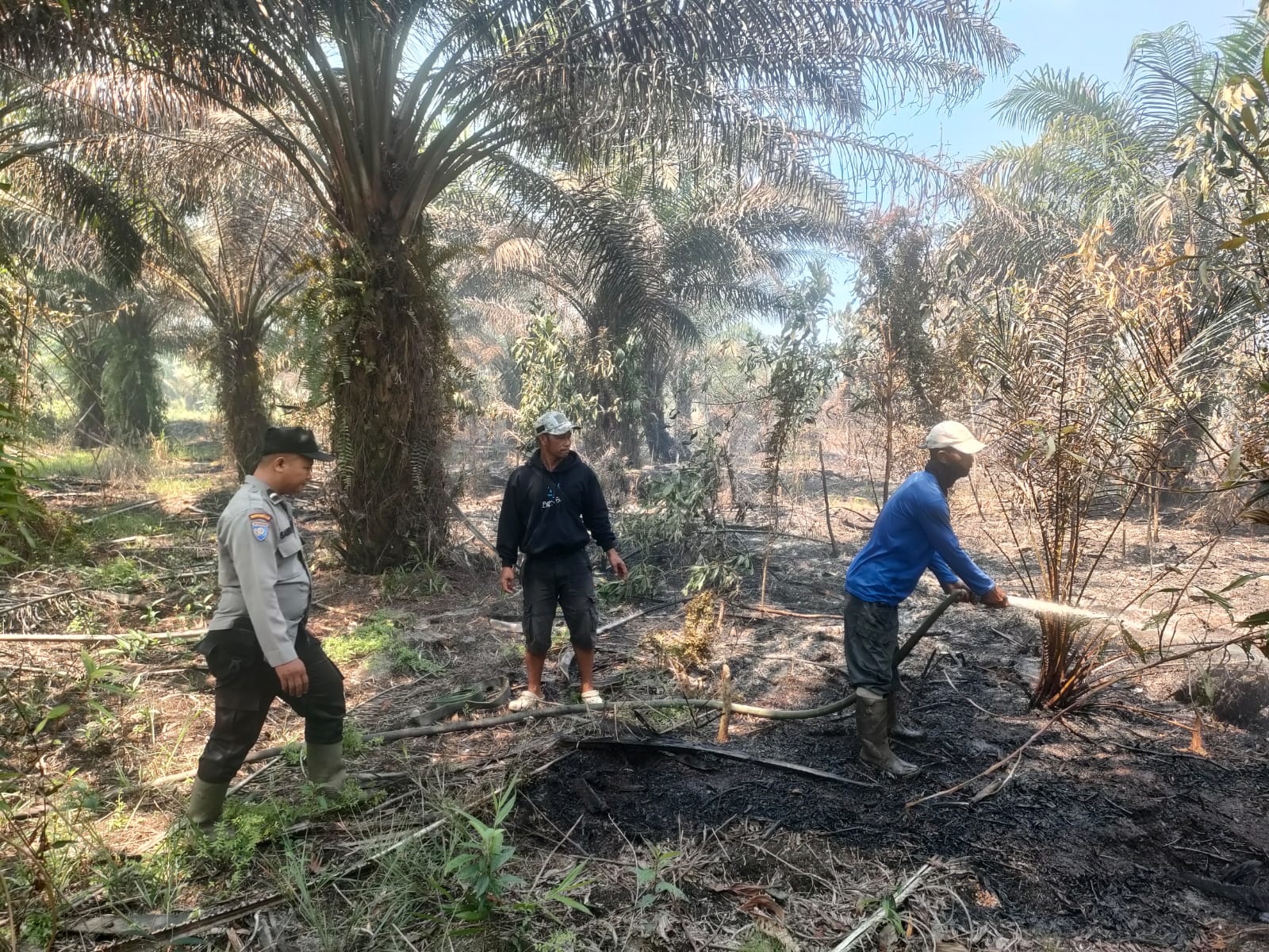 PADAM: Warga memadamkan sisa api di lahan yang terbakar.