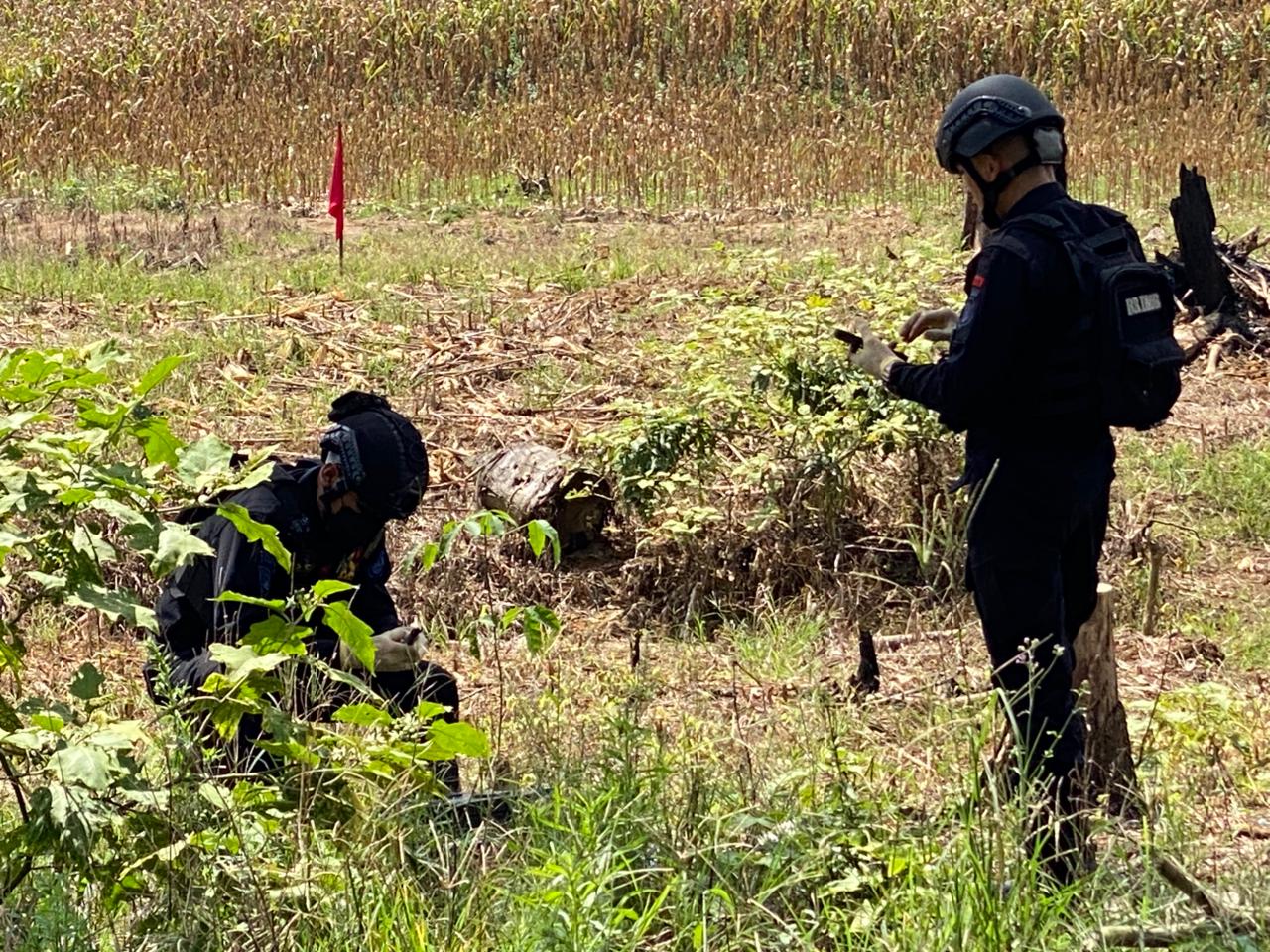 "Satbrimob Polda Kalbar hancurkan amunisi sisa perang di Sanggau, pastikan keamanan warga sekitar.