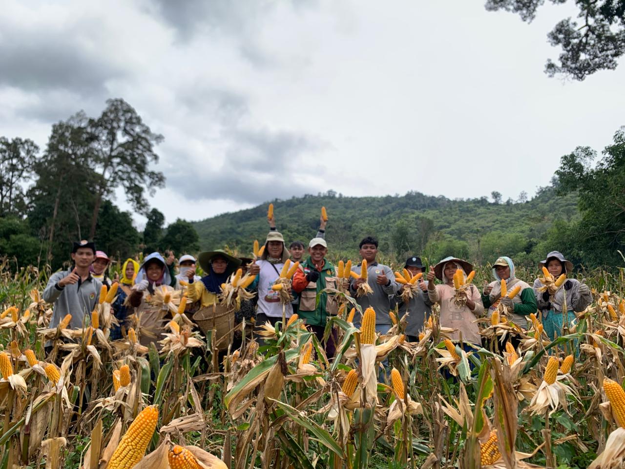 Petani berfoto bersama panen jagung yang ditanam dari benih jagung R 212.