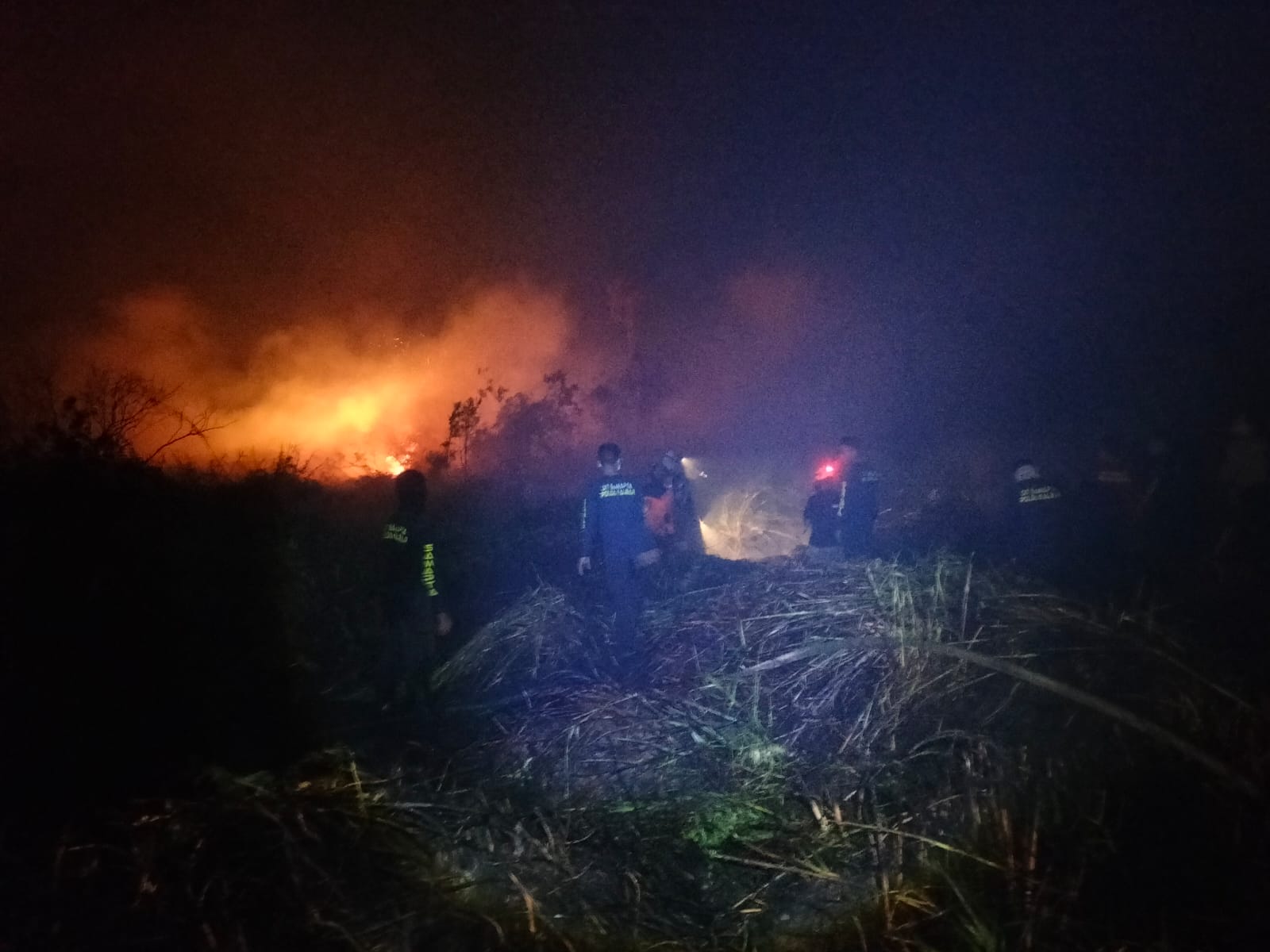 PADAMKAN: Petugas berjibaku memadamkan karhutla di Anjongan Melancar.