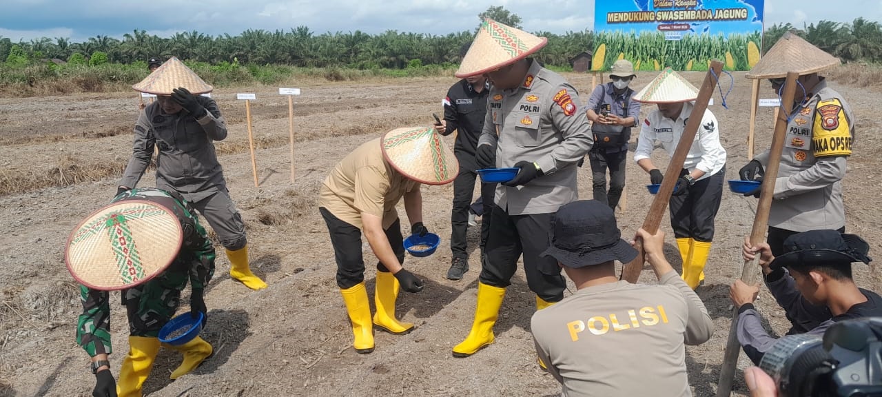 TANAM JAGUNG: Wakil Bupati, Kapolres Sambas dan sejumlah pihak lakukan penanaman jagung serentak secara nasional kuartal I 2026.