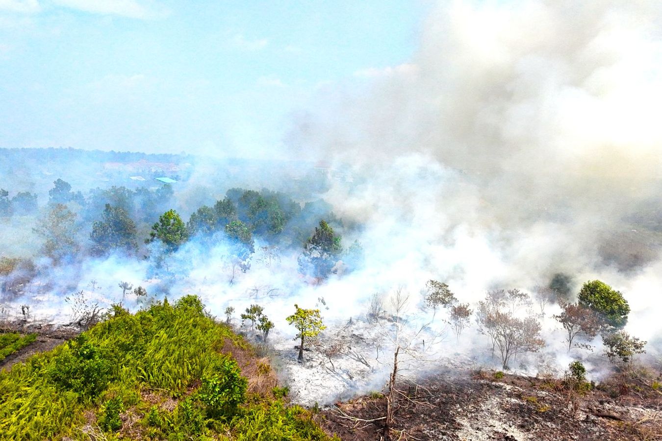 Analisis Pantau Gambut mencatat sedikitnya 5.490 titik panas muncul di kawasan Kesatuan Hidrologis Gambut (KHG) sepanjang Januari 2026.