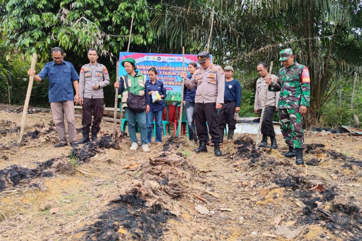 Personel Polsek Ngabang bersama Polsubsektor Jelimpo melaksanakan penanaman jagung serentak pada Sabtu (7/3). 