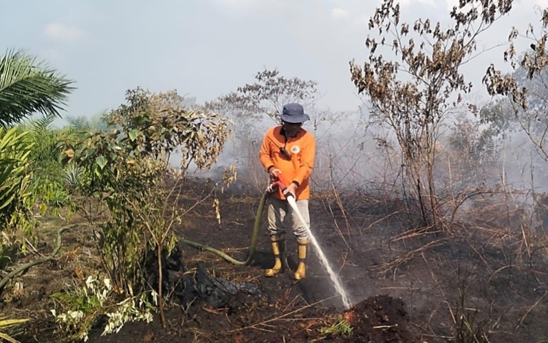 KARHUTLA : Petugas gabungan melakukan pemadaman kebakaran hutan dan lahan (karhutla) di kawasan Parit Delima, Desa Punggur Kecil, Kecamatan Sungai Kakap, Kabupaten Kubu Raya, Selasa (24/3).