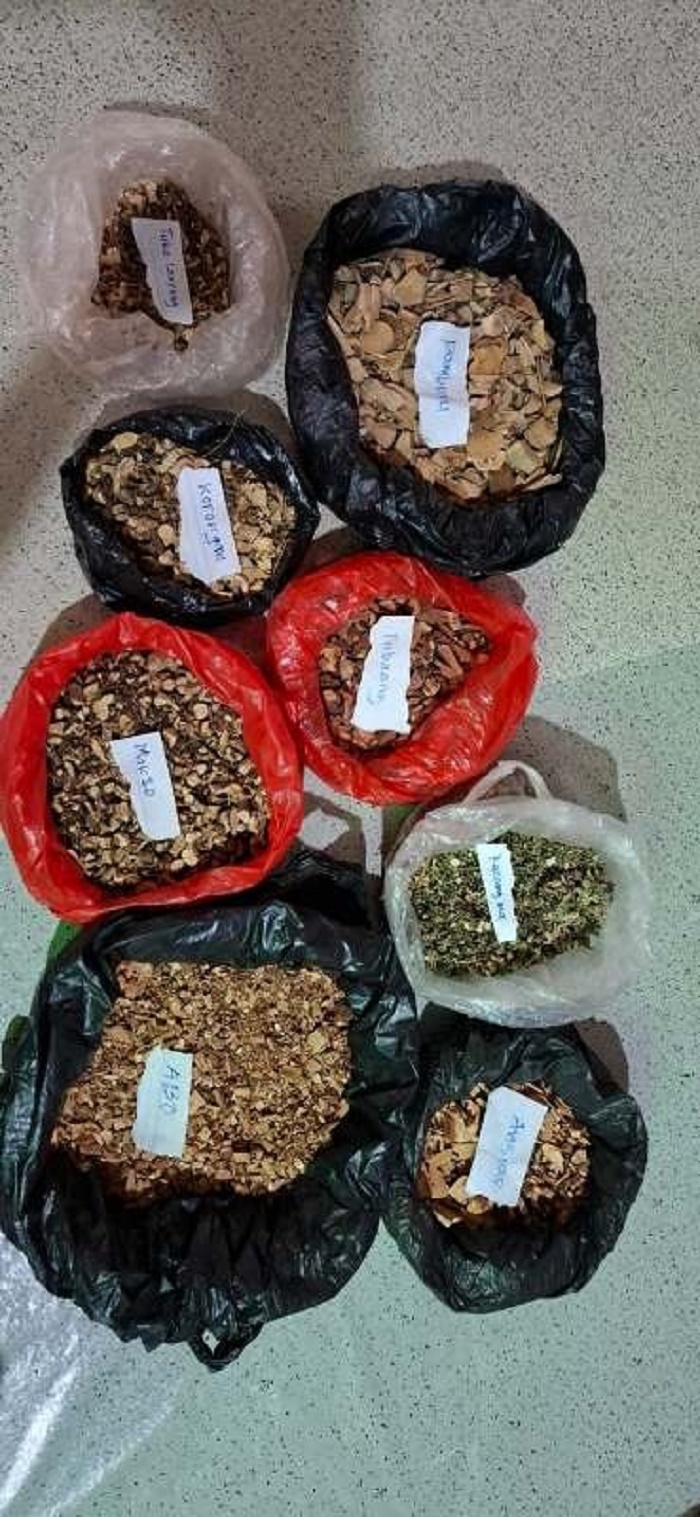 DARI HUTAN KE DAPUR: Berbagai bahan alami untuk ramuan patah tulang di Desa Sekabuk yang masih mempertahankan aturan adat. Sebuah bukti bahwa kearifan lokal tetap menjadi jawaban yang terjangkau