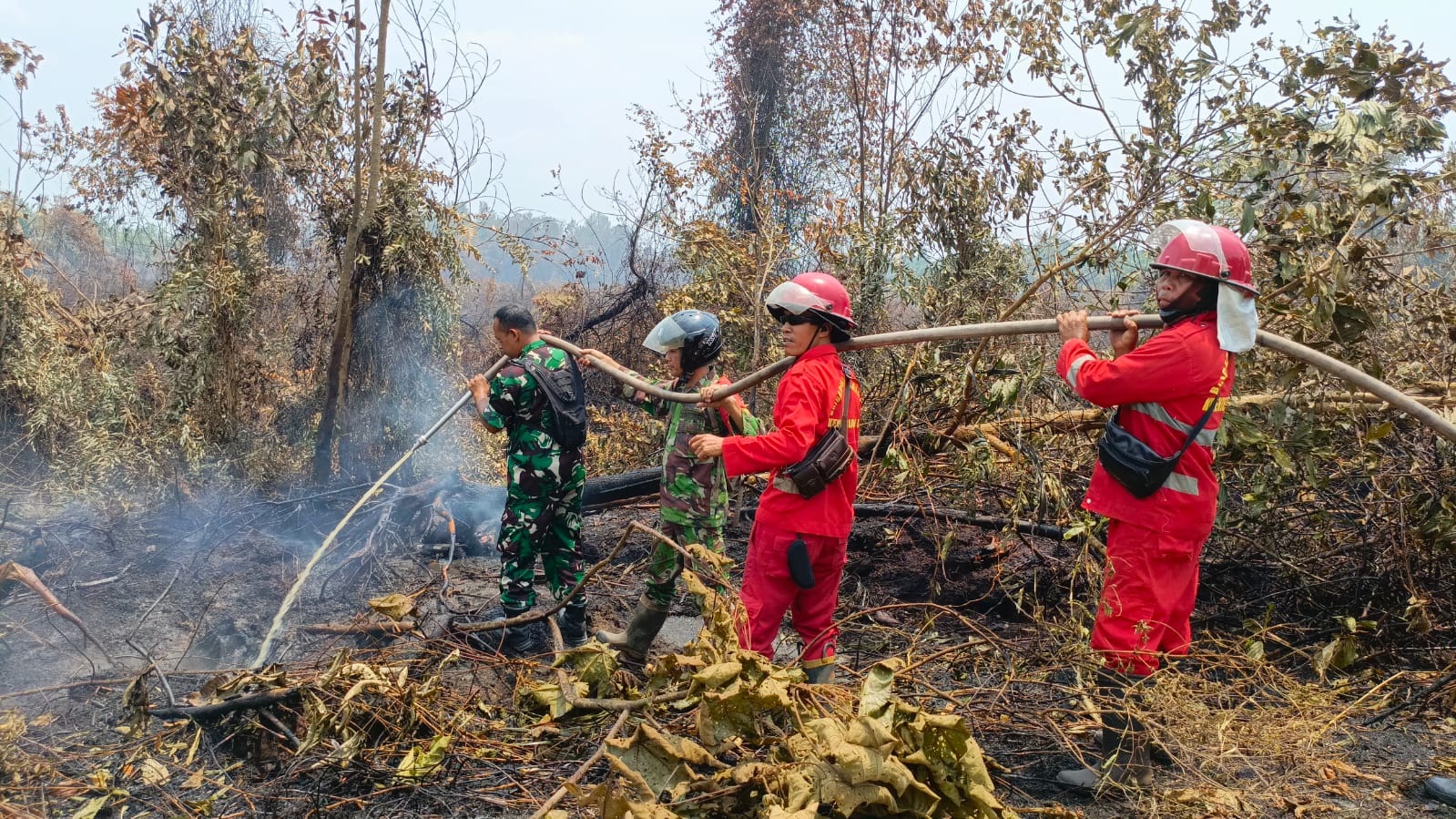 BERSAMA: Babinsa dan tim gabungan memadamkan kebakaran lahan.