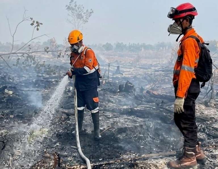 PADAMKAN API: Petugas gabungan saat berusaha memadamkan api di kebun warga di Pulau Maya yang hangus terbakar akibat karhutla, Minggu (29/3/2026). 