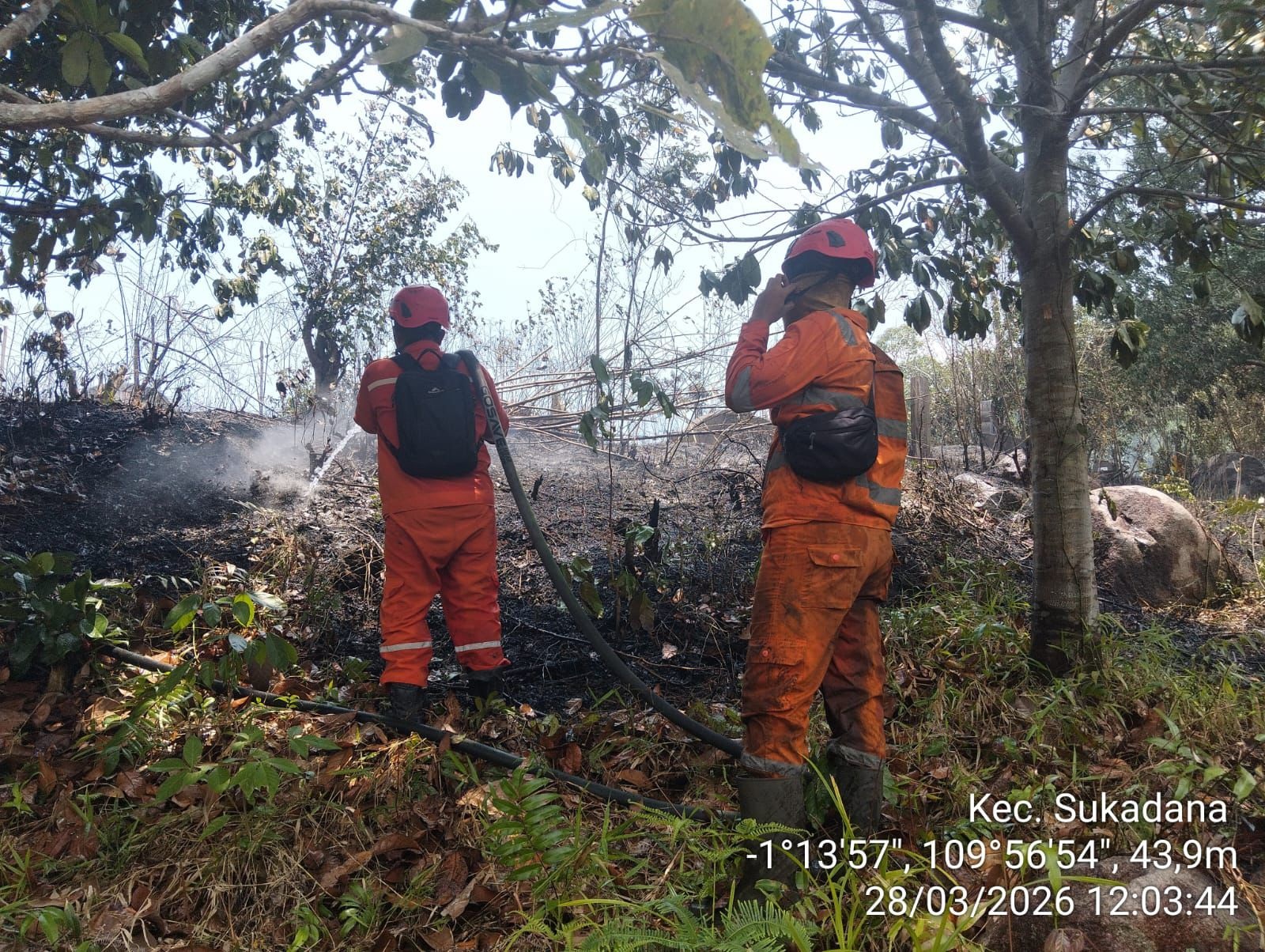 KARHUTLA: Petugas memadamkan api kebakaran hutan dan lahan (karhutla) di Kecamatan Sukadana, Sabtu (28/3).