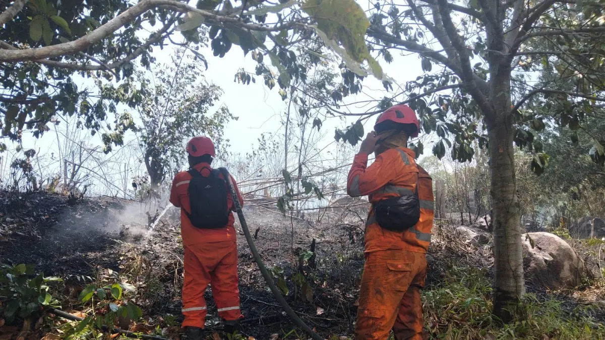 Petugas berjibaku memadamkan api di lahan terbakar, cegah karhutla meluas di Sukadana.