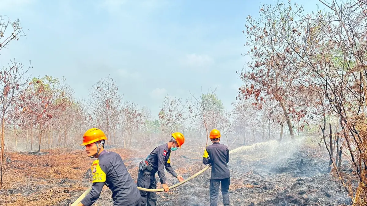 Petugas Satbrimob Polda Kalbar berjibaku memadamkan api di lahan gambut guna mencegah meluasnya kebakaran hutan dan lahan. (POLRI)