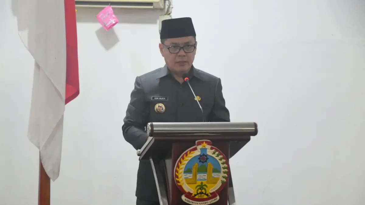 Romi Wijaya.