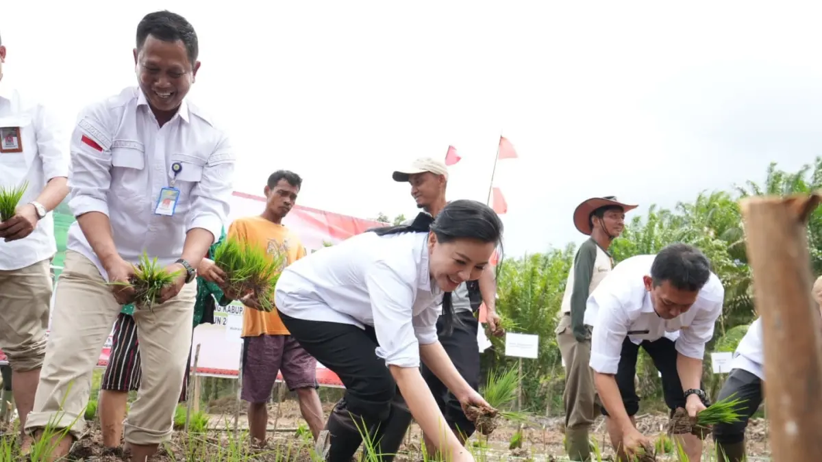 TANAM PADI: Bupati Landak Karolin Margret Natasa mengikuti gelar tanam padi perdana di Desa Temiang Sawi Kecamatan Ngabang pada Rabu (8/4). (ISTIMEWA)