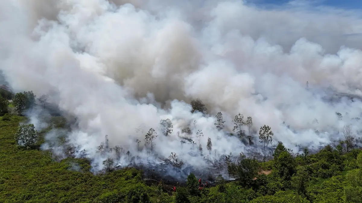 Foto udara asap tebal menyelimuti kawasan hutan dan pemukiman di Desa Galang, Kecamatan Sungai Pinyuh, Kabupaten Mempawah,pada Februari 2026 lalu. 